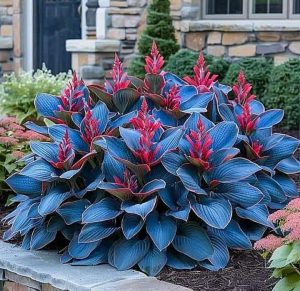 Хоста Грин Фог купить по цене от 669р. в интернет-магазине «Посадика» с доставкой почтой в в Волхове и по всей России – [изображение №1].